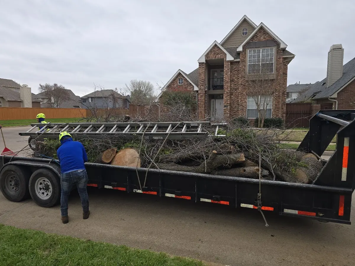 Expert Tree Fertilization with proper safety equipment in Stirum